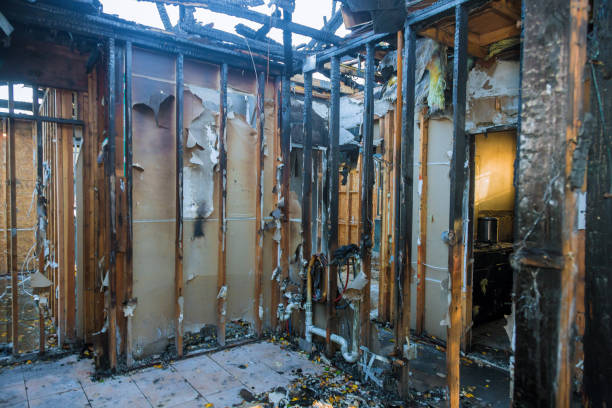 Professional Fire Damage Removal technician working in Arcola, VA